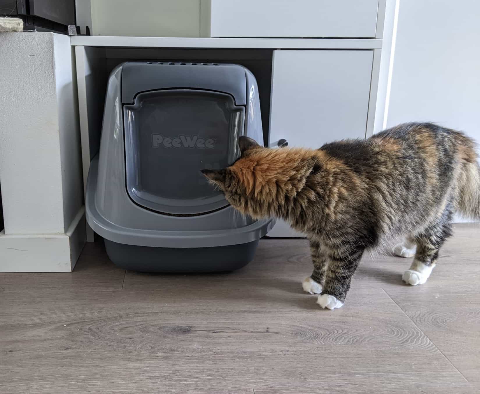 Woody Cat Kattenbakvulling kopen? ✔️ Vergelijk de beste aanbiedingen Woody Cat Kattenbakvulling kopen? ✔️ Vergelijk de beste aanbiedingen