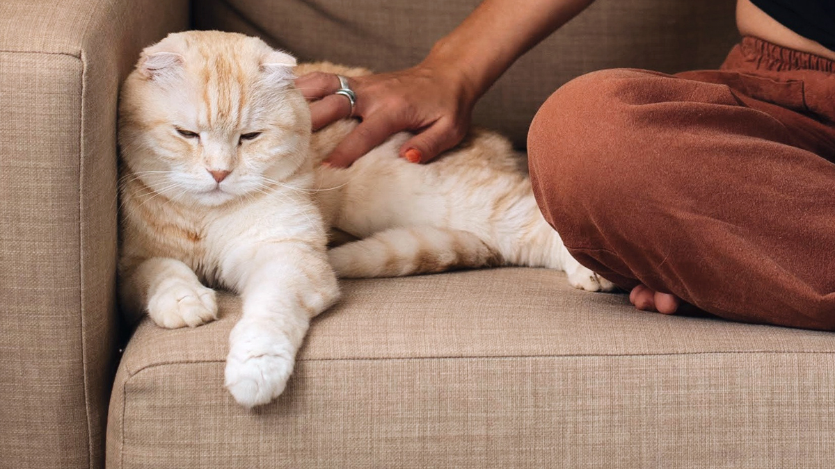 Hoe Weet Ik Of Ik Bkr Registratie Heb